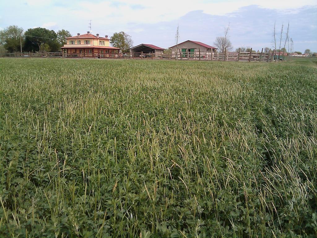 Villa Valle Rillo Agriturismo Comacchio Exterior foto